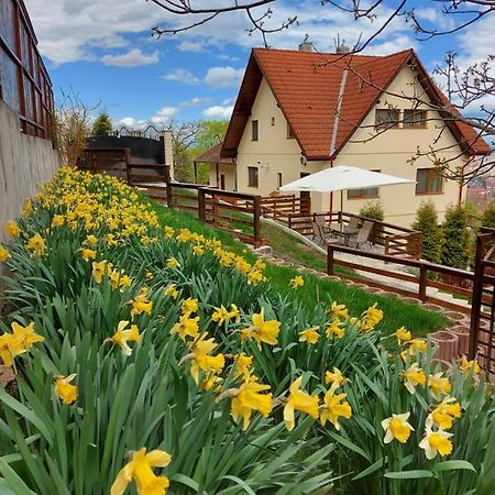 Apartament Matei Brasov Bagian luar foto