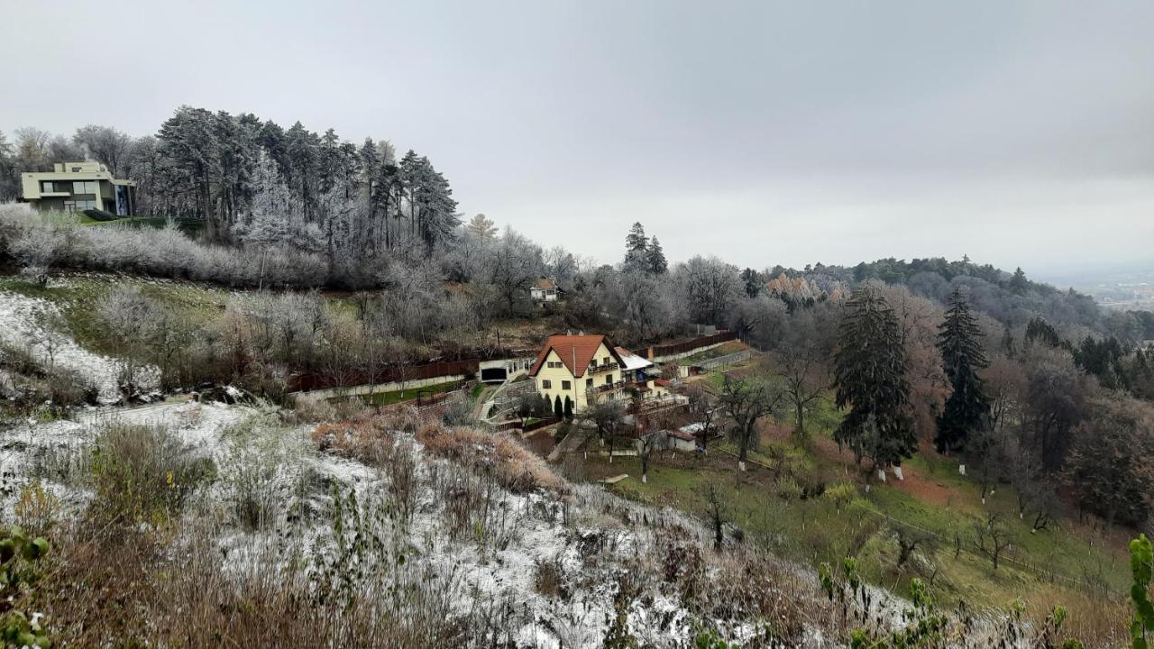 Apartament Matei Brasov Bagian luar foto