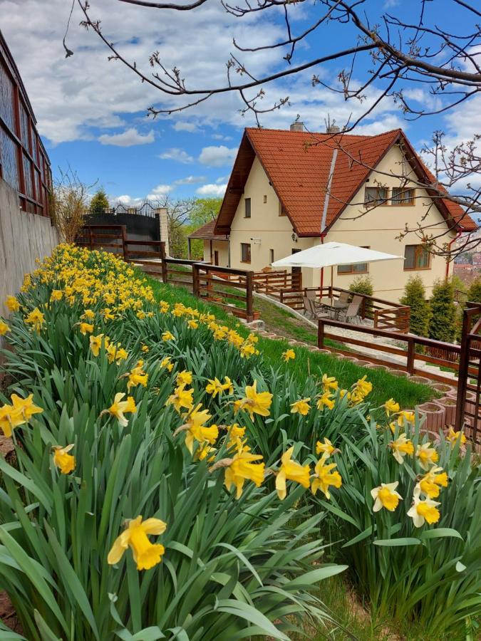 Apartament Matei Brasov Bagian luar foto