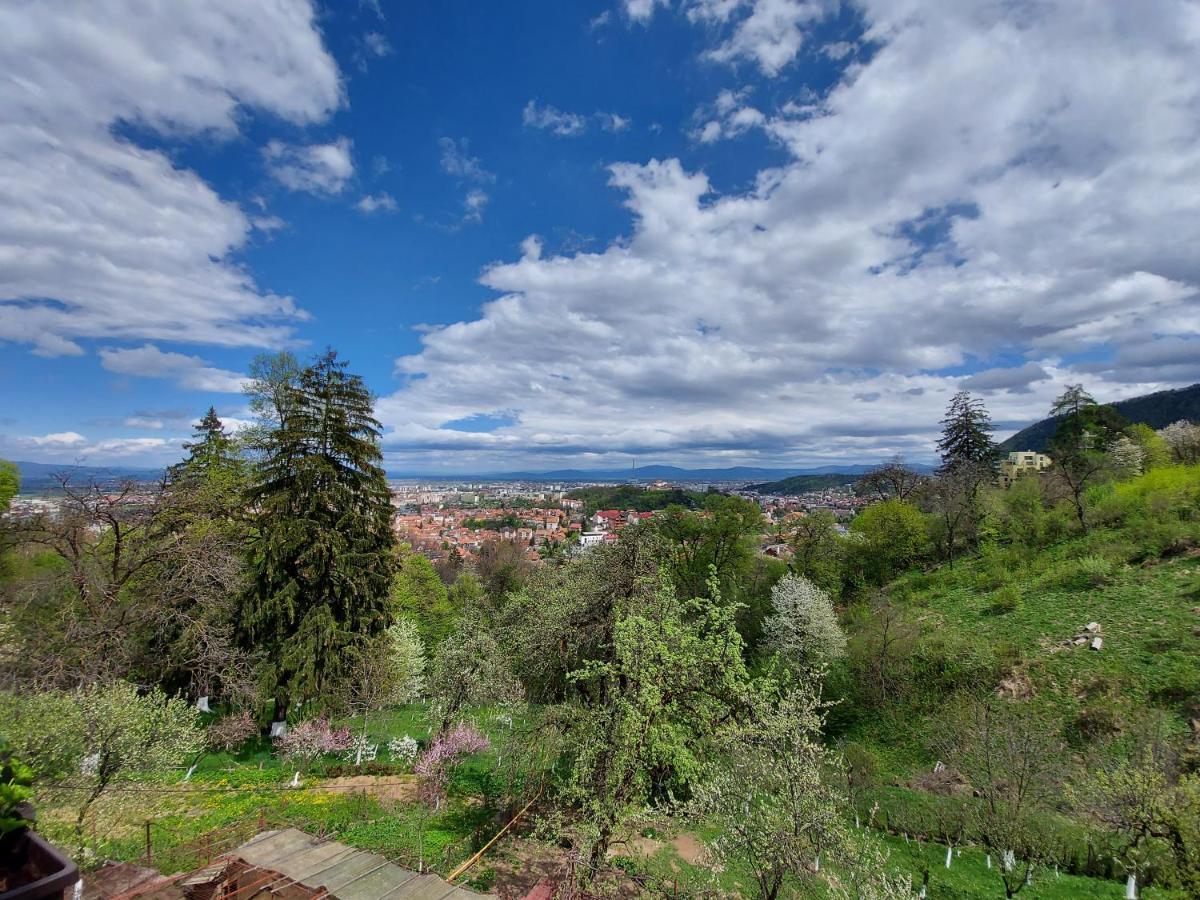 Apartament Matei Brasov Bagian luar foto