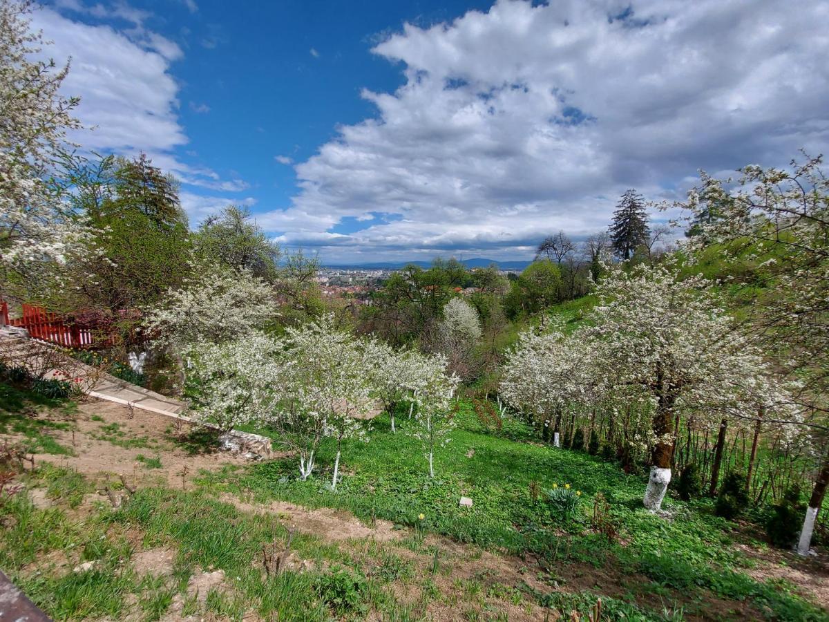 Apartament Matei Brasov Bagian luar foto