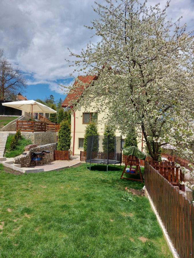 Apartament Matei Brasov Bagian luar foto